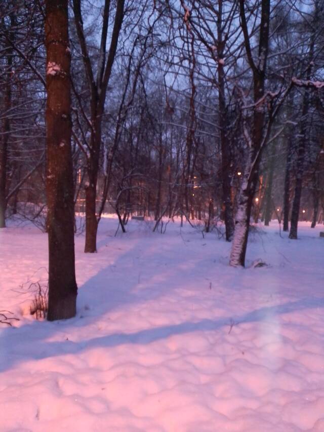 https://forumstatic.ru//uploads/0019/3a/78/16/918642.jpg