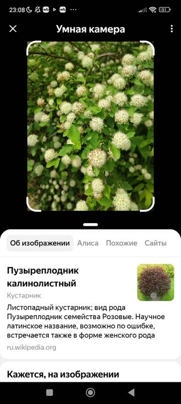 https://forumstatic.ru//uploads/0019/3a/78/164/t652733.jpg
