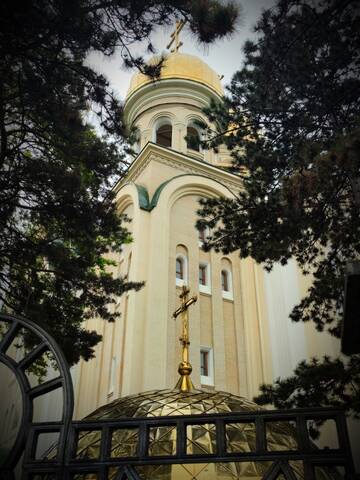 https://forumstatic.ru//uploads/0019/3a/78/164/t717600.jpg