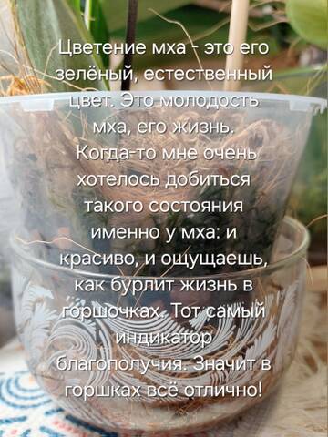 https://forumstatic.ru//uploads/0019/3a/78/212/t129277.jpg