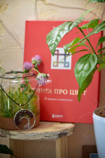https://forumstatic.ru//uploads/0019/3a/78/212/t134673.jpg
