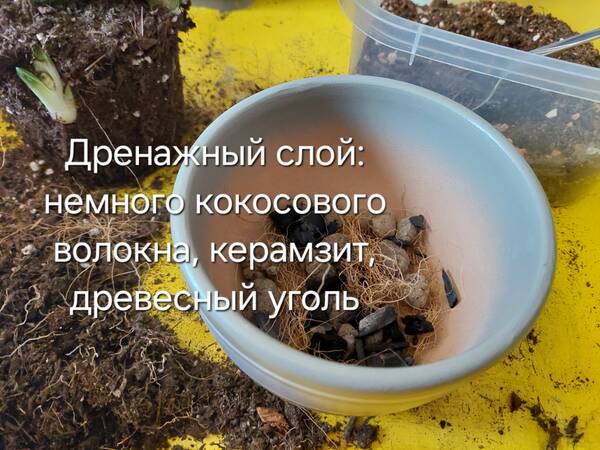 https://forumstatic.ru//uploads/0019/3a/78/212/t136133.jpg