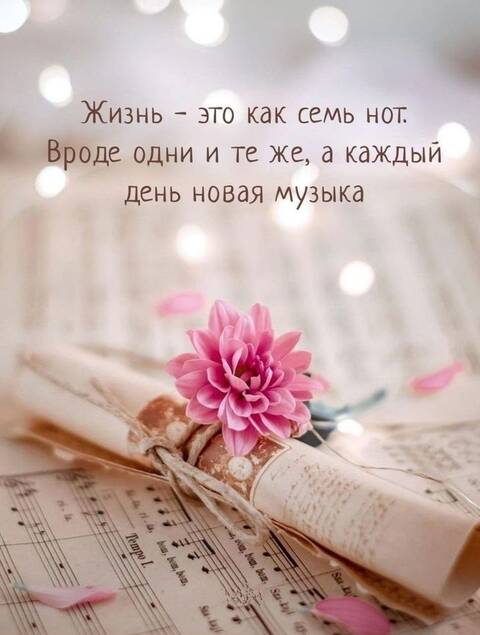 https://forumstatic.ru//uploads/0019/3a/78/212/t174075.jpg