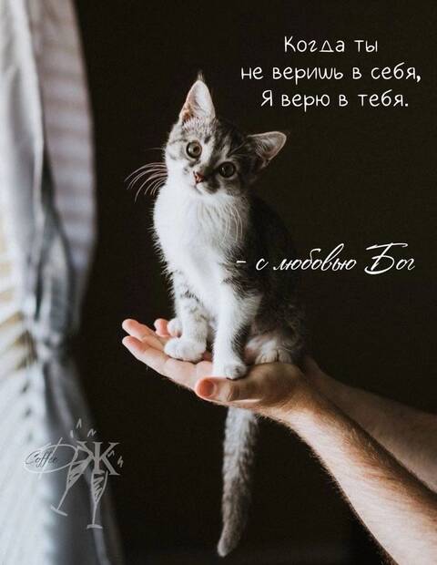 https://forumstatic.ru//uploads/0019/3a/78/212/t176282.jpg