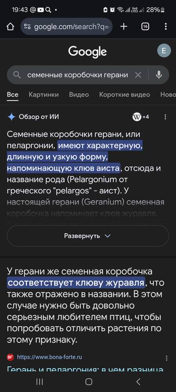 https://forumstatic.ru//uploads/0019/3a/78/212/t19132.jpg