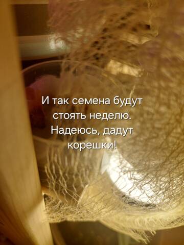 https://forumstatic.ru//uploads/0019/3a/78/212/t210795.jpg