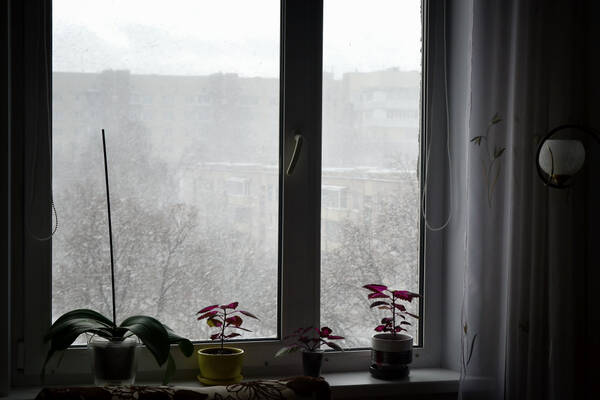 https://forumstatic.ru//uploads/0019/3a/78/212/t21292.jpg