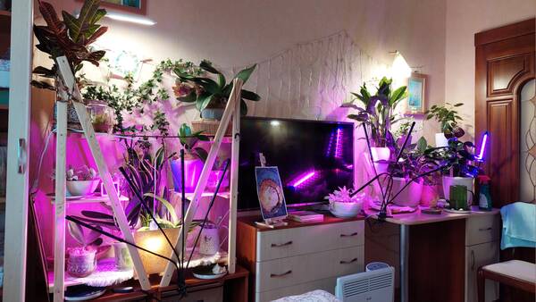 https://forumstatic.ru//uploads/0019/3a/78/212/t231858.jpg
