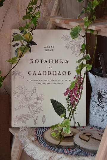 https://forumstatic.ru//uploads/0019/3a/78/212/t244641.jpg
