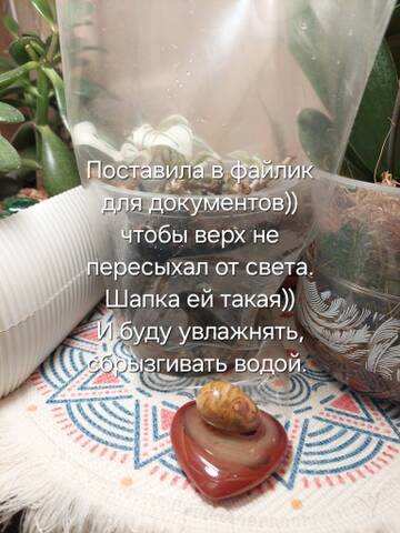 https://forumstatic.ru//uploads/0019/3a/78/212/t256178.jpg