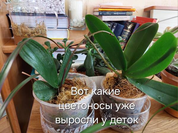 https://forumstatic.ru//uploads/0019/3a/78/212/t268413.jpg