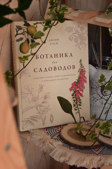 https://forumstatic.ru//uploads/0019/3a/78/212/t27777.jpg