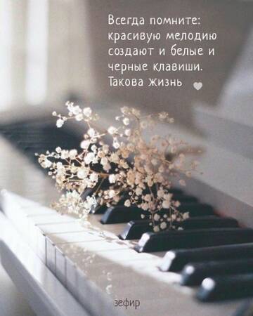 https://forumstatic.ru//uploads/0019/3a/78/212/t293216.jpg