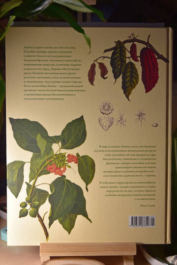 https://forumstatic.ru//uploads/0019/3a/78/212/t304600.jpg