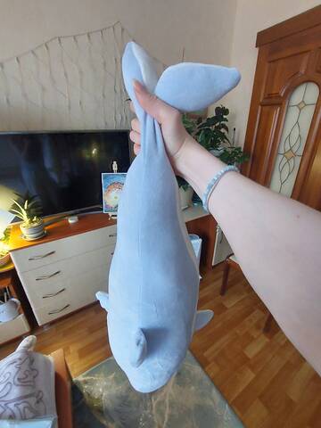 https://forumstatic.ru//uploads/0019/3a/78/212/t314569.jpg