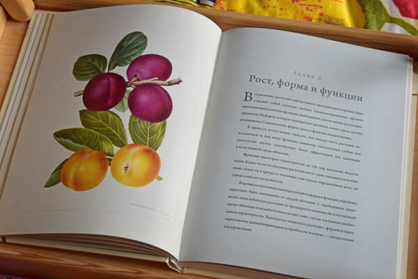 https://forumstatic.ru//uploads/0019/3a/78/212/t33306.jpg