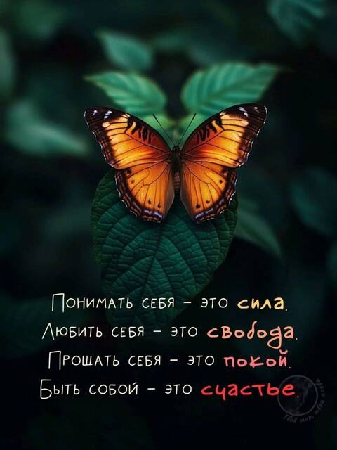 https://forumstatic.ru//uploads/0019/3a/78/212/t375007.jpg
