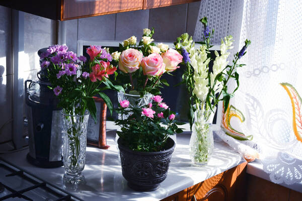 https://forumstatic.ru//uploads/0019/3a/78/212/t382864.jpg