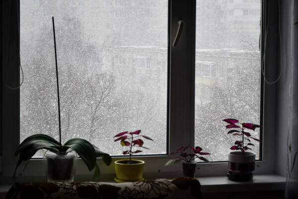 https://forumstatic.ru//uploads/0019/3a/78/212/t413073.jpg