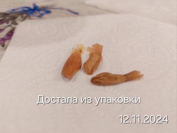 https://forumstatic.ru//uploads/0019/3a/78/212/t437781.jpg