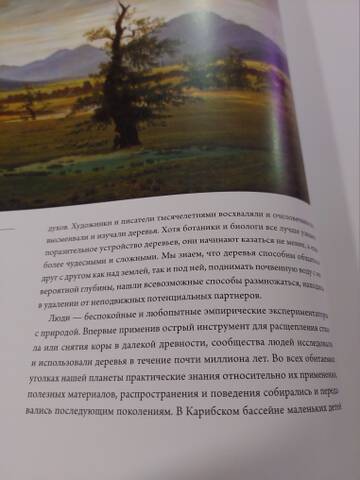 https://forumstatic.ru//uploads/0019/3a/78/212/t439387.jpg