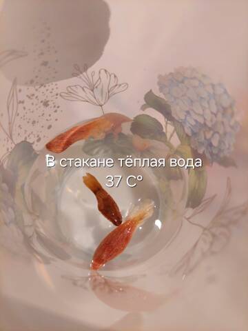 https://forumstatic.ru//uploads/0019/3a/78/212/t455851.jpg