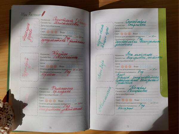 https://forumstatic.ru//uploads/0019/3a/78/212/t461859.jpg