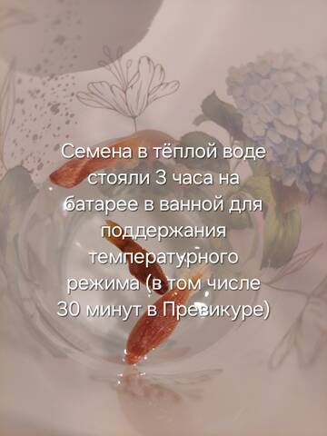 https://forumstatic.ru//uploads/0019/3a/78/212/t469393.jpg