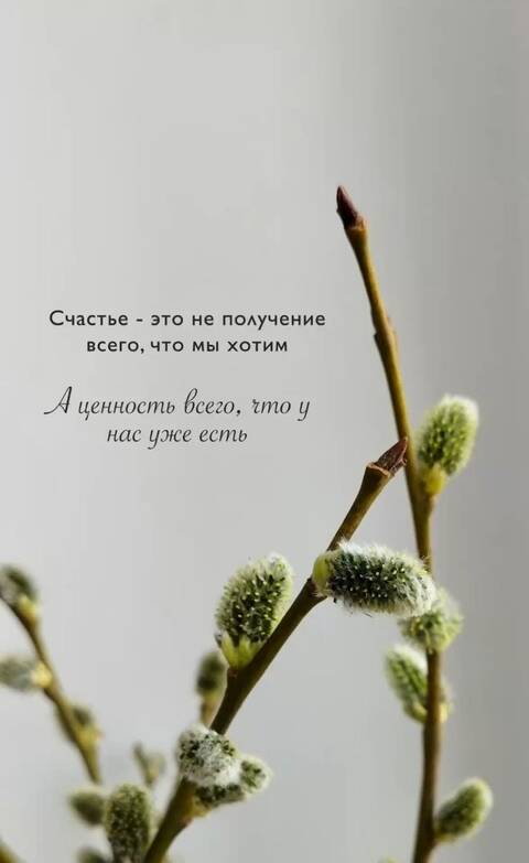 https://forumstatic.ru//uploads/0019/3a/78/212/t484756.jpg