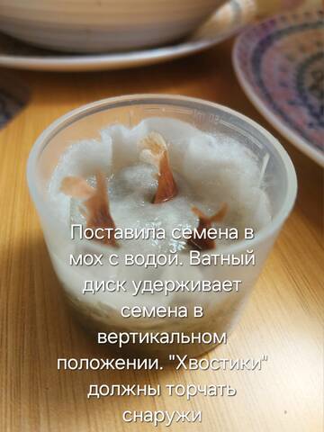https://forumstatic.ru//uploads/0019/3a/78/212/t510953.jpg