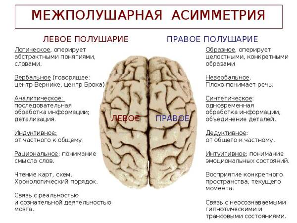 https://forumstatic.ru//uploads/0019/3a/78/212/t52280.jpg