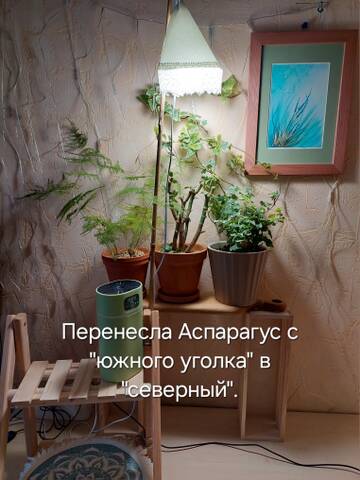 https://forumstatic.ru//uploads/0019/3a/78/212/t537238.jpg