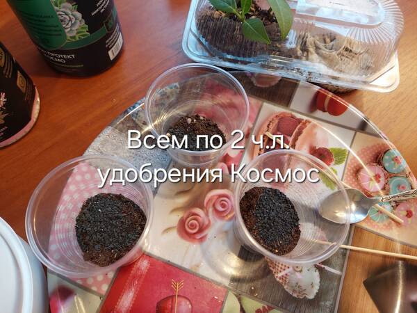 https://forumstatic.ru//uploads/0019/3a/78/212/t548768.jpg