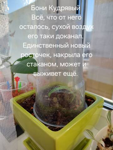 https://forumstatic.ru//uploads/0019/3a/78/212/t558635.jpg