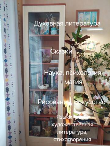 https://forumstatic.ru//uploads/0019/3a/78/212/t566136.jpg