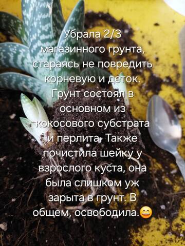 https://forumstatic.ru//uploads/0019/3a/78/212/t58354.jpg