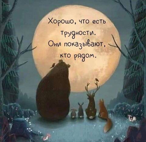 https://forumstatic.ru//uploads/0019/3a/78/212/t612127.jpg