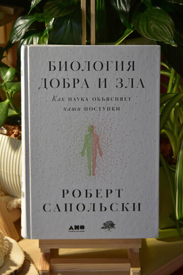 https://forumstatic.ru//uploads/0019/3a/78/212/t614067.jpg