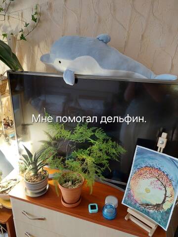 https://forumstatic.ru//uploads/0019/3a/78/212/t630840.jpg