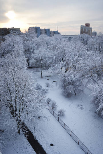 https://forumstatic.ru//uploads/0019/3a/78/212/t65330.jpg