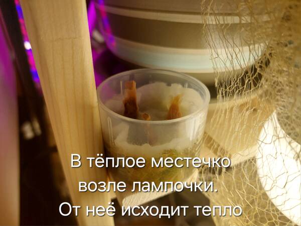 https://forumstatic.ru//uploads/0019/3a/78/212/t67029.jpg