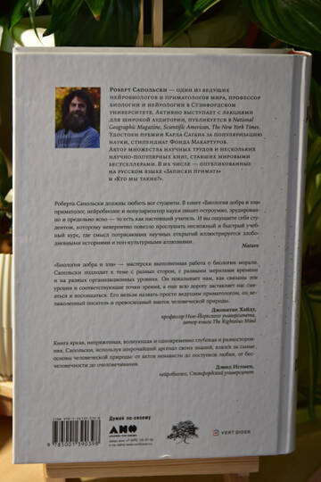 https://forumstatic.ru//uploads/0019/3a/78/212/t673822.jpg
