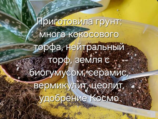 https://forumstatic.ru//uploads/0019/3a/78/212/t684920.jpg