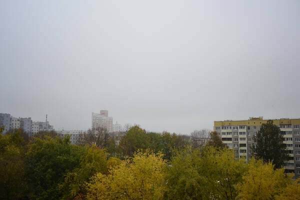 https://forumstatic.ru//uploads/0019/3a/78/212/t742061.jpg