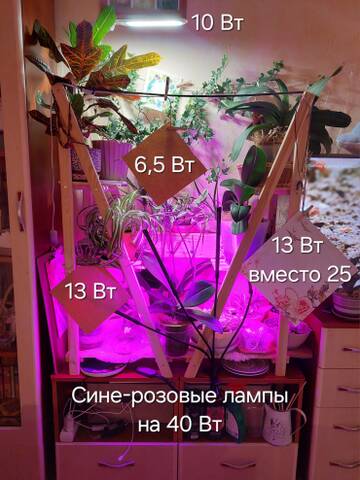 https://forumstatic.ru//uploads/0019/3a/78/212/t800709.jpg