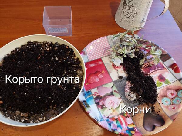 https://forumstatic.ru//uploads/0019/3a/78/212/t808835.jpg