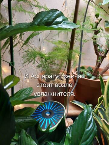 https://forumstatic.ru//uploads/0019/3a/78/212/t820702.jpg