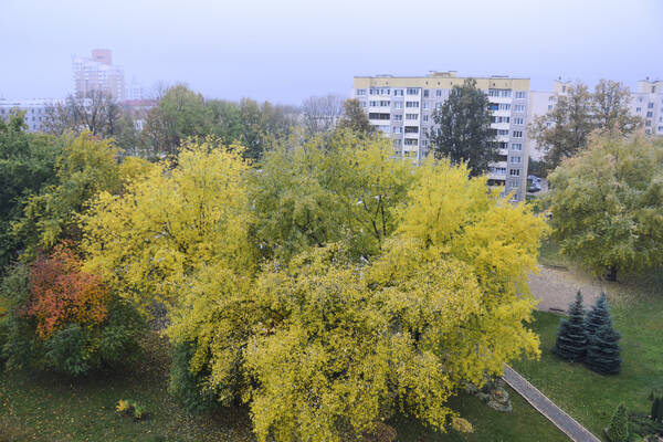 https://forumstatic.ru//uploads/0019/3a/78/212/t826619.jpg