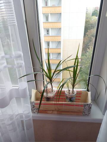 https://forumstatic.ru//uploads/0019/3a/78/212/t864949.jpg