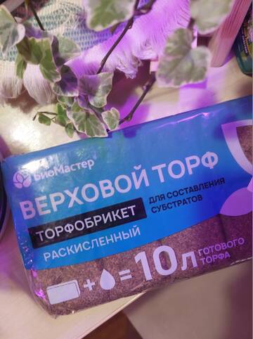 https://forumstatic.ru//uploads/0019/3a/78/212/t869609.jpg